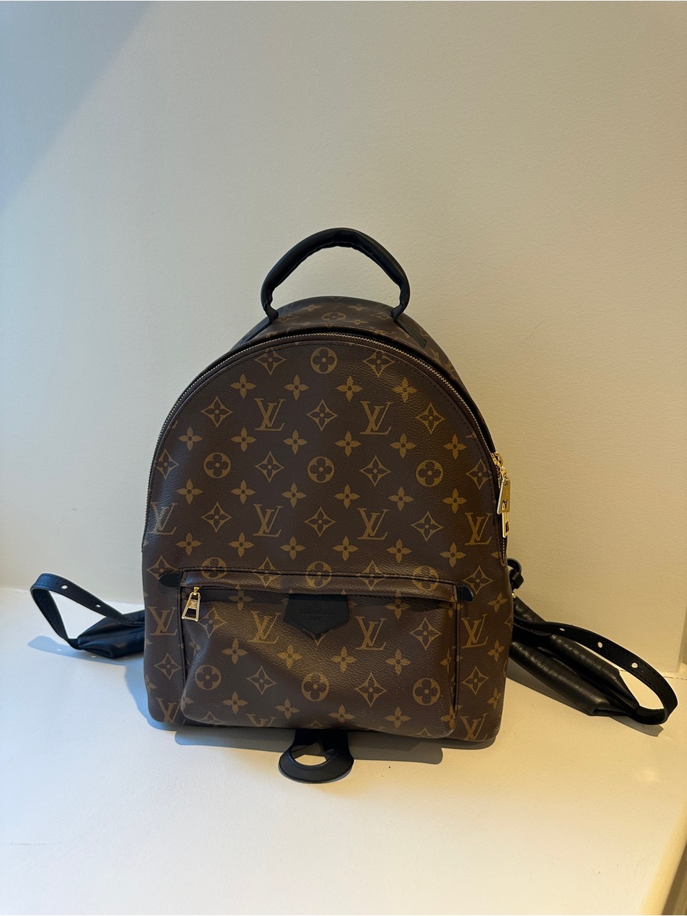 Louis Vuitton Palm Springs MM Backpack Monogram Canvas M44874